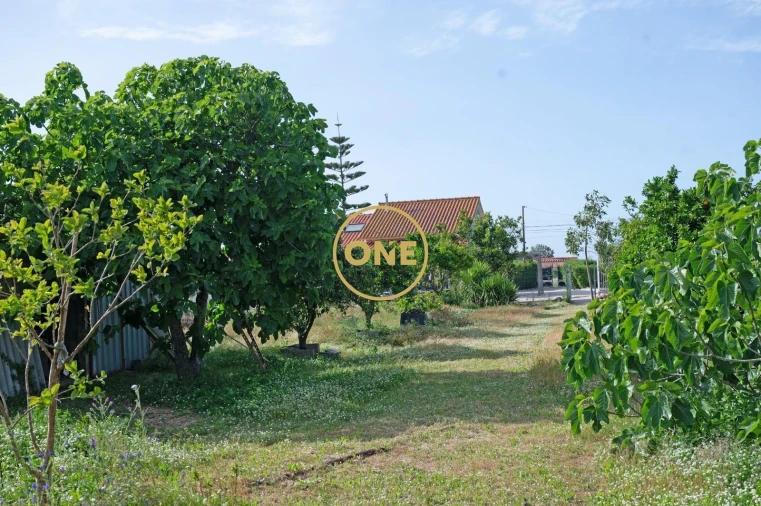 Quinta T3 para Venda em Benavente Foto 13