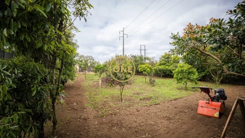 Moradia T4 para Venda em Rosto do Cão (Livramento)