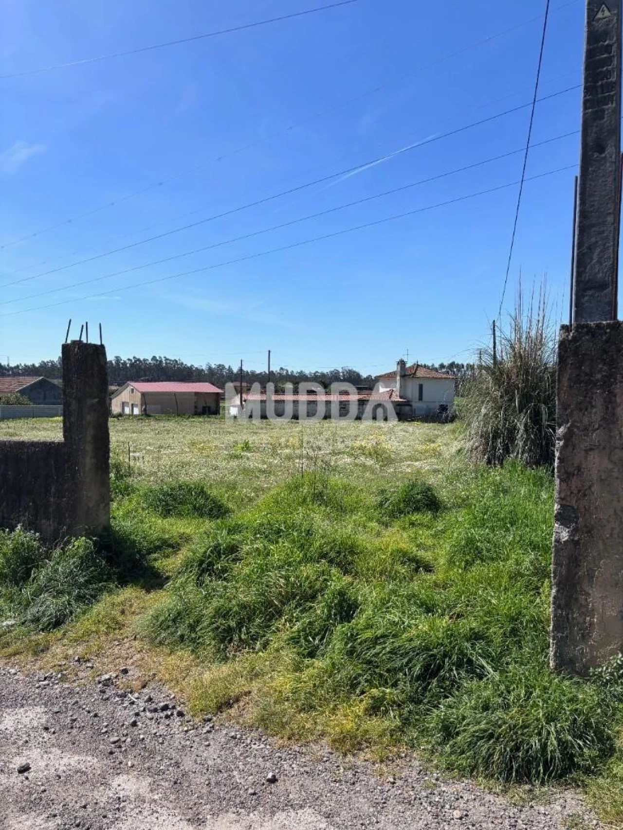 Terreno para Venda em Loureiro Foto 28
