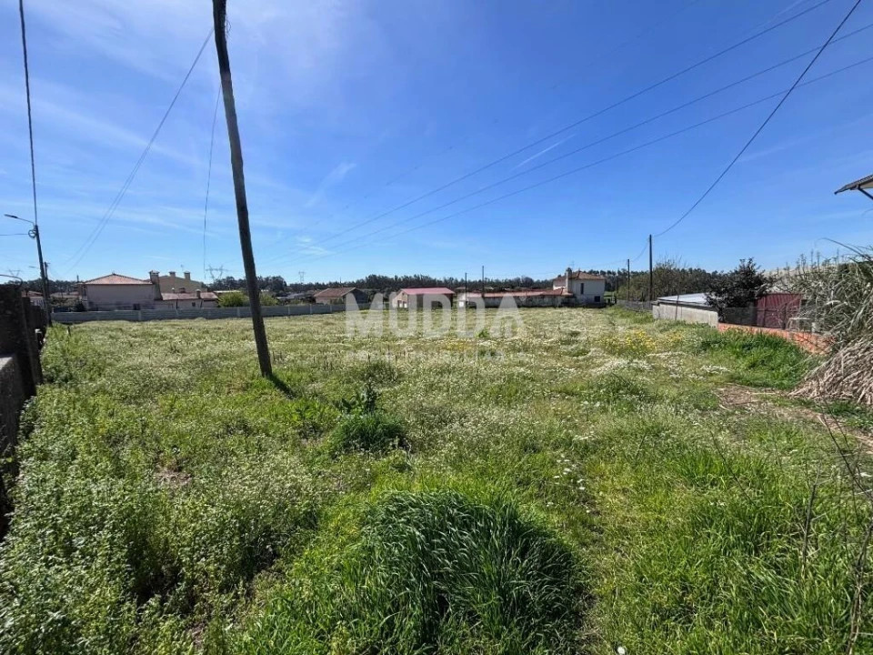 Terreno para Venda em Loureiro Foto 29