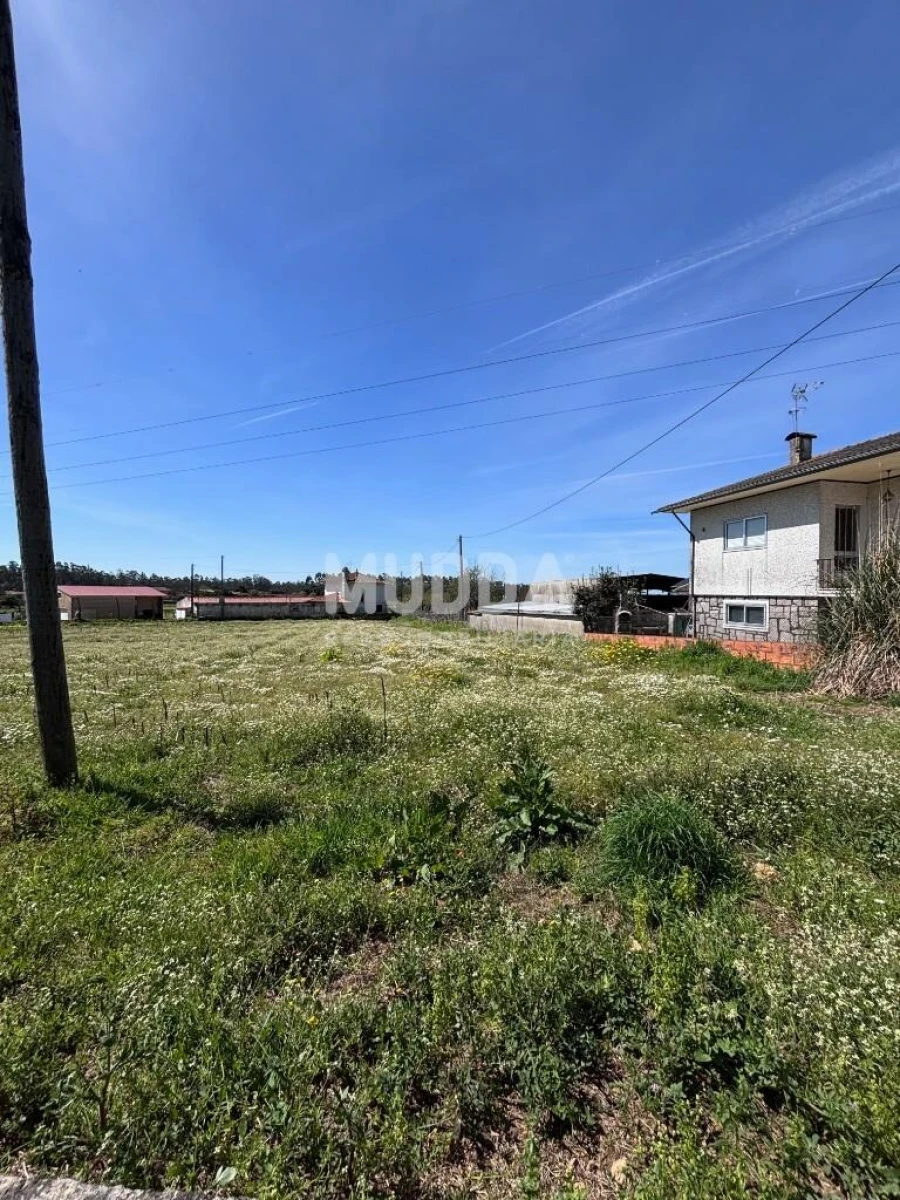 Terreno para Venda em Loureiro Foto 30