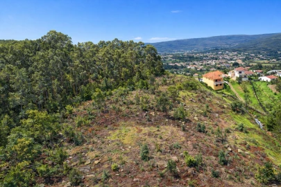 Terreno para Venda em Caminha (Matriz) e Vilarelho