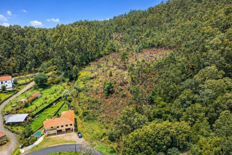Terreno para Venda em Caminha (Matriz) e Vilarelho Foto 4