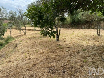 Quinta para Venda em Unhais da Serra