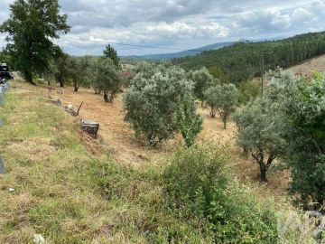 Quinta para Venda em Unhais da Serra