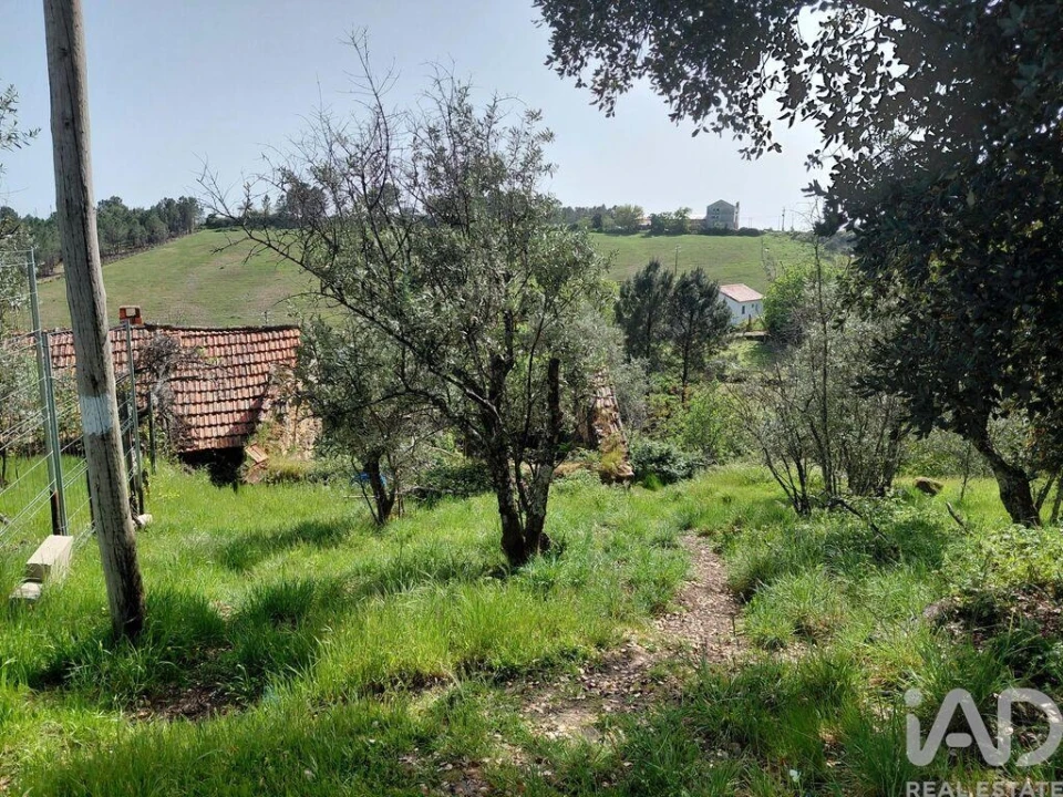 Quinta para Venda em Unhais da Serra Foto 6