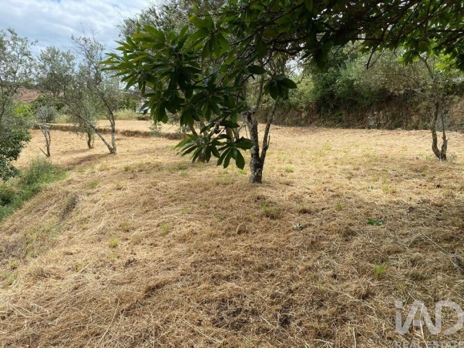 Quinta para Venda em Unhais da Serra Foto 2
