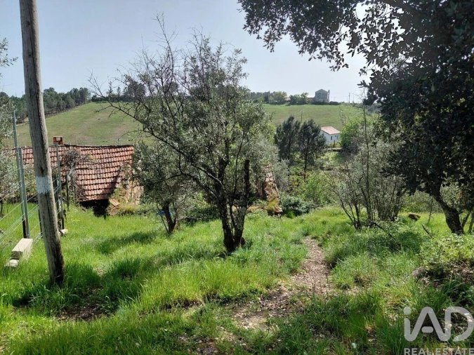 Quinta para Venda em Unhais da Serra Foto 6