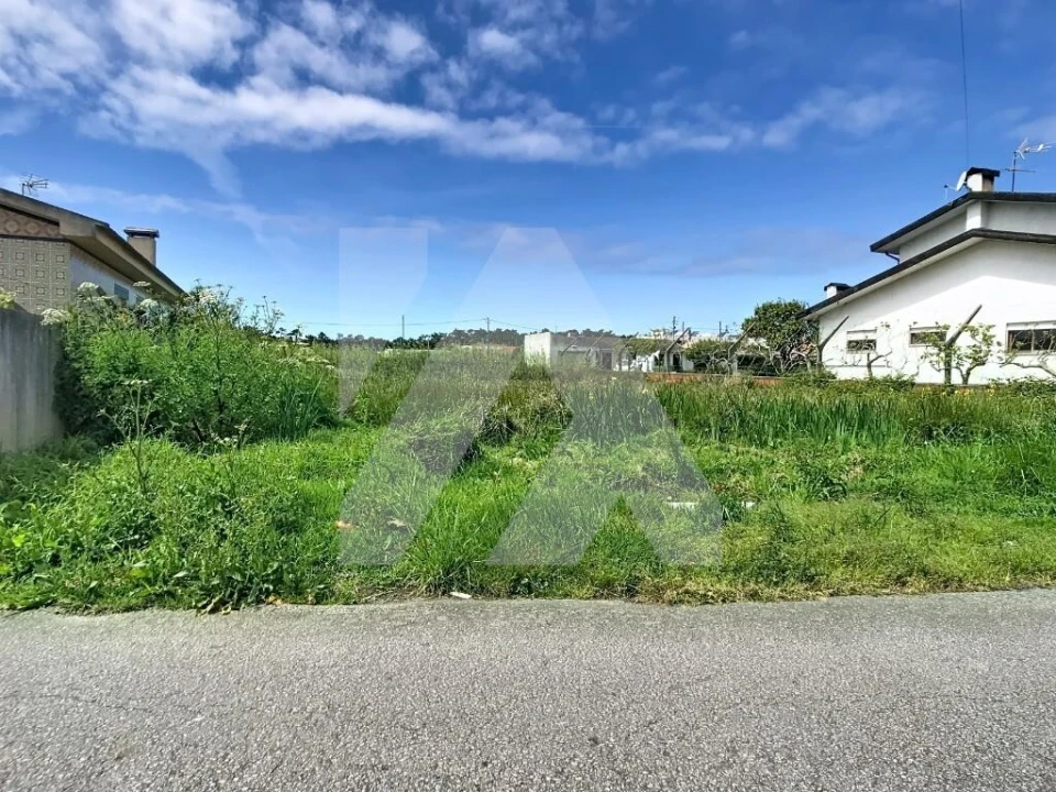 Terreno para Venda em Ovar, São João, Arada e São Vicente de Pereira Jusã Foto 5