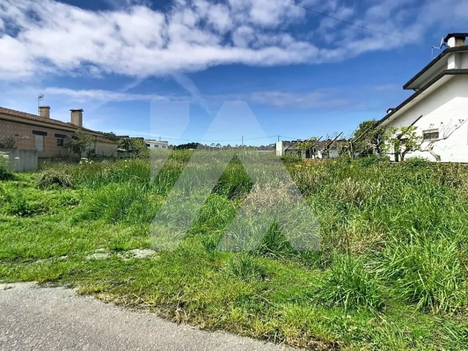 Terreno para Venda em Ovar, São João, Arada e São Vicente de Pereira Jusã Foto 4