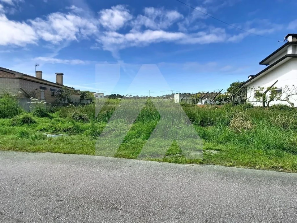 Terreno para Venda em Ovar, São João, Arada e São Vicente de Pereira Jusã Foto 3