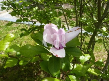 Moradia T3 para Venda em Vila Facaia