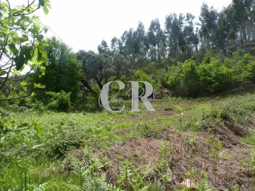 Moradia T3 para Venda em Vila Facaia