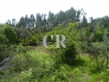 Moradia T3 para Venda em Vila Facaia