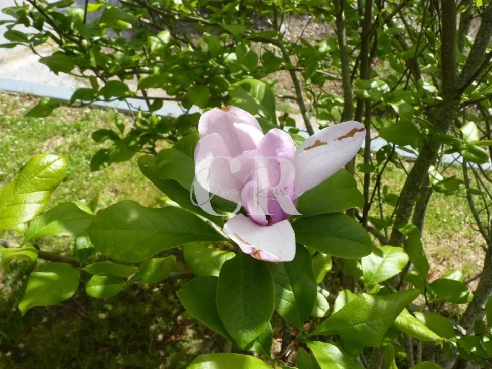 Moradia T3 para Venda em Vila Facaia Foto 82