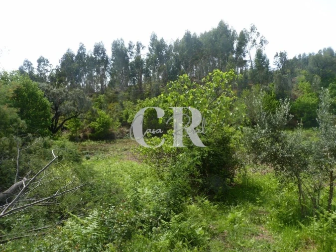 Moradia T3 para Venda em Vila Facaia Foto 80