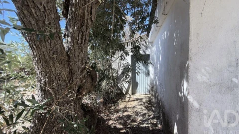 Moradia T3 para Venda em São Vicente do Paul e Vale de Figueira