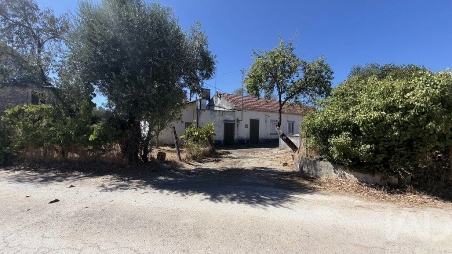 Moradia T3 para Venda em São Vicente do Paul e Vale de Figueira Foto 28
