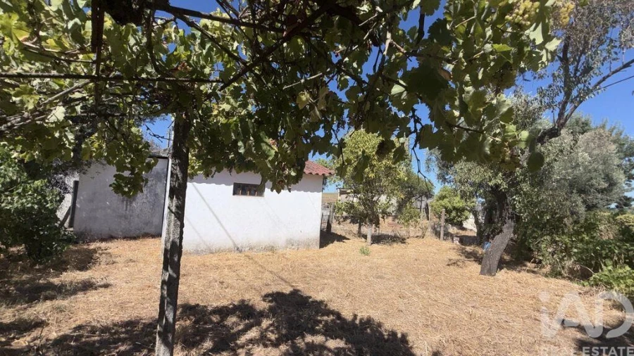 Moradia T3 para Venda em São Vicente do Paul e Vale de Figueira Foto 22