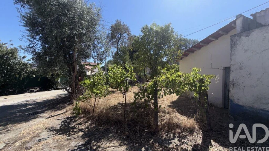 Moradia T3 para Venda em São Vicente do Paul e Vale de Figueira Foto 21