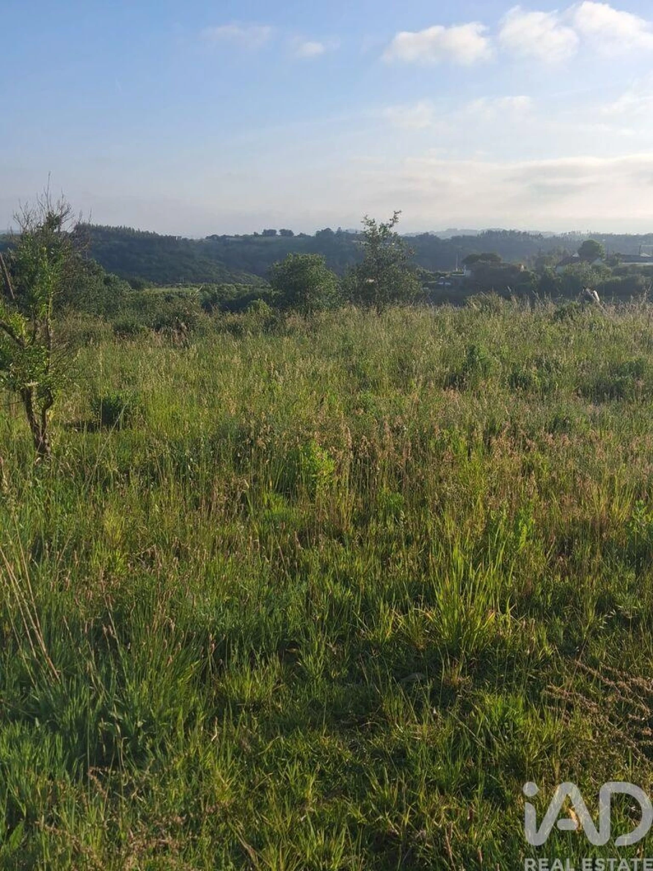 Terreno para Venda em Aljubarrota Foto 20