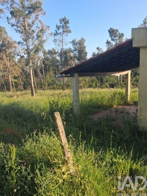 Terreno para Venda em Aljubarrota