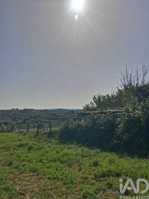 Terreno para Venda em Aljubarrota