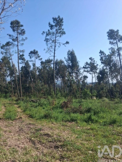 Terreno para Venda em Aljubarrota