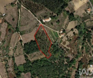 Terreno para Venda em Aljubarrota