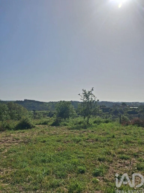 Terreno para Venda em Aljubarrota
