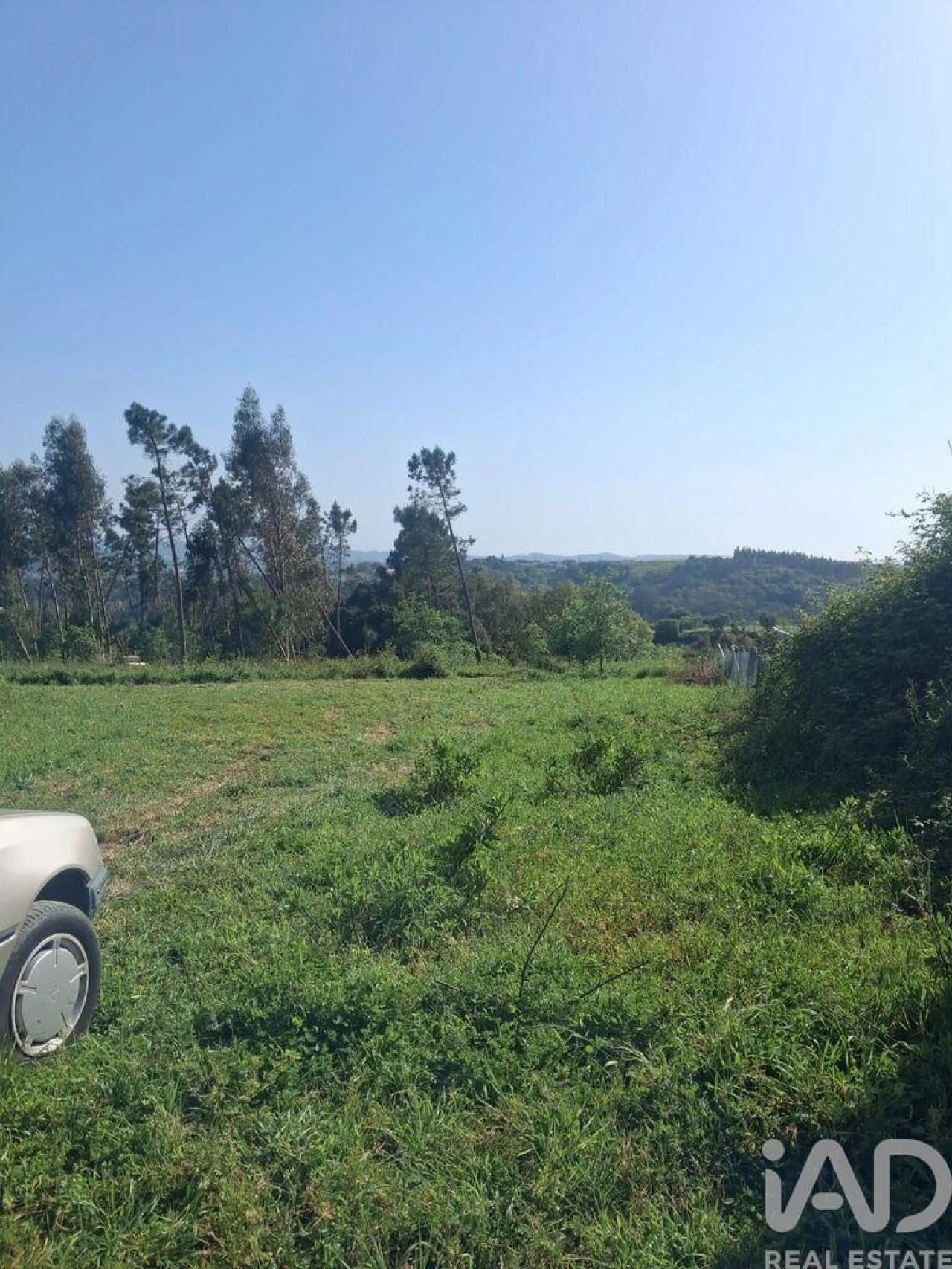 Terreno para Venda em Aljubarrota Foto 5