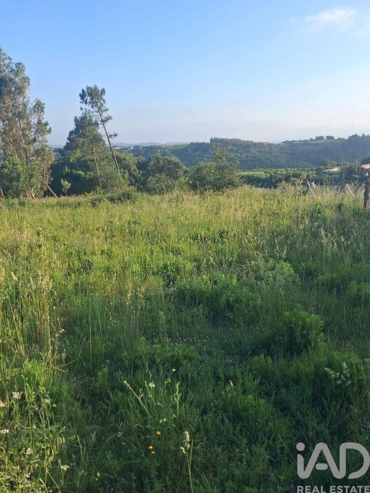 Terreno para Venda em Aljubarrota Foto 18