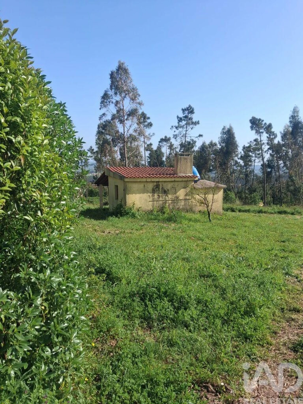 Terreno para Venda em Aljubarrota Foto 2