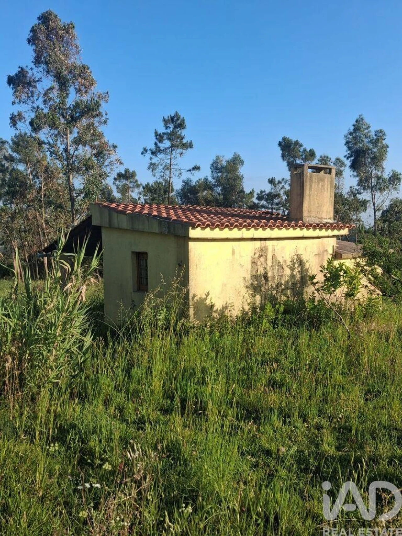 Terreno para Venda em Aljubarrota Foto 3