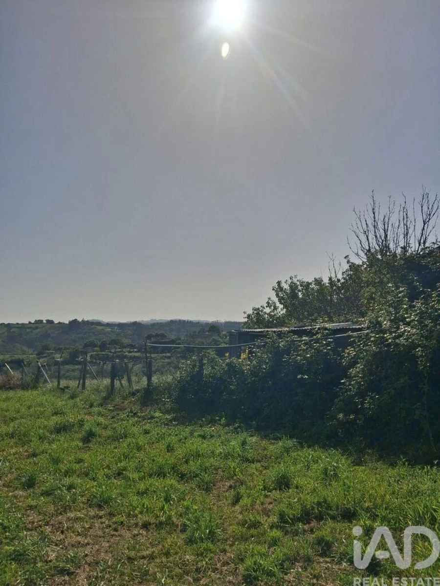 Terreno para Venda em Aljubarrota Foto 11