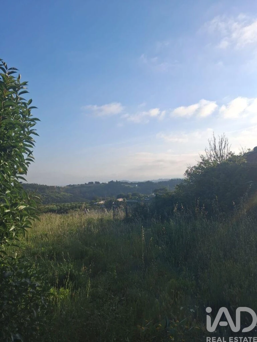 Terreno para Venda em Aljubarrota Foto 17