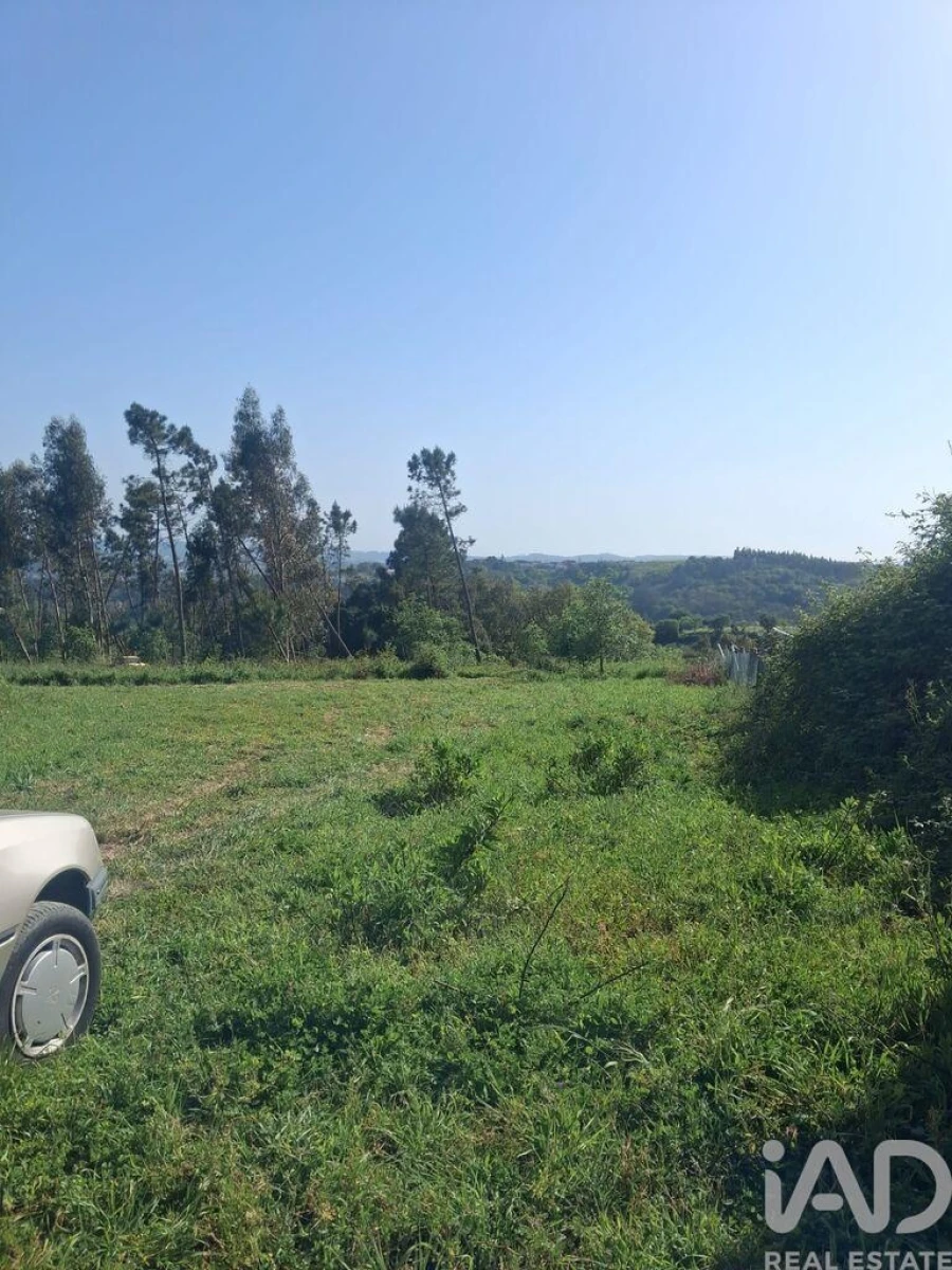 Terreno para Venda em Aljubarrota Foto 5