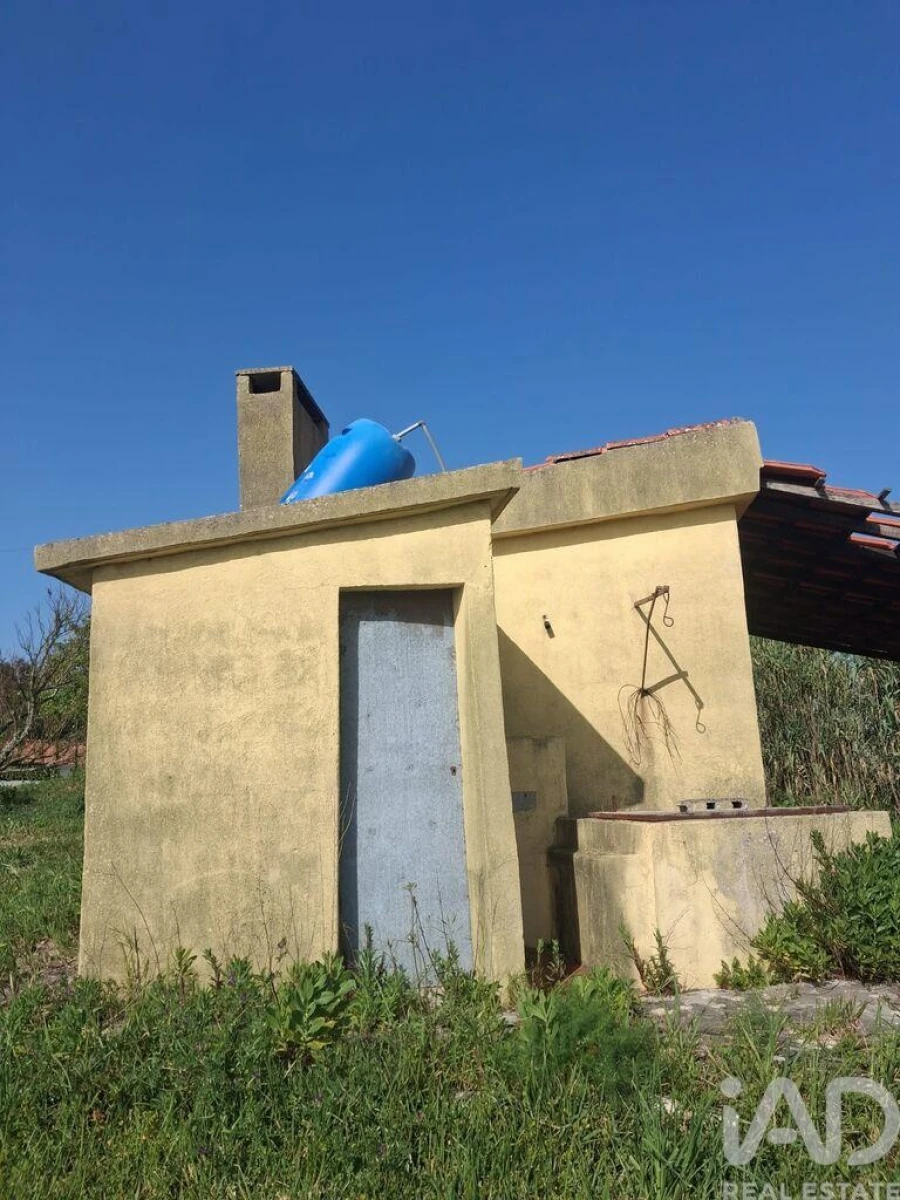 Terreno para Venda em Aljubarrota Foto 4