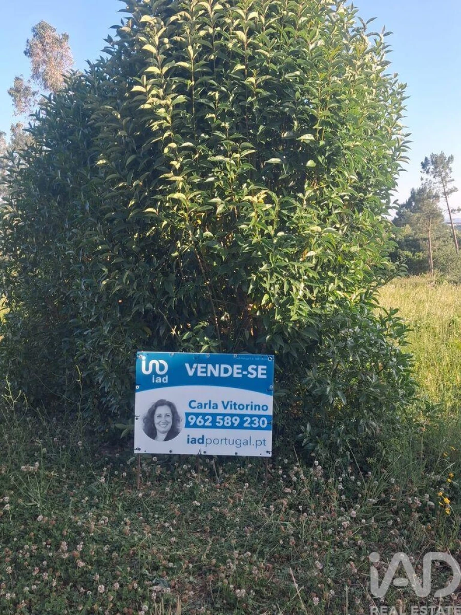 Terreno para Venda em Aljubarrota Foto 21