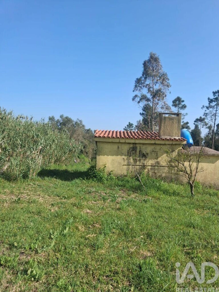 Terreno para Venda em Aljubarrota Foto 3