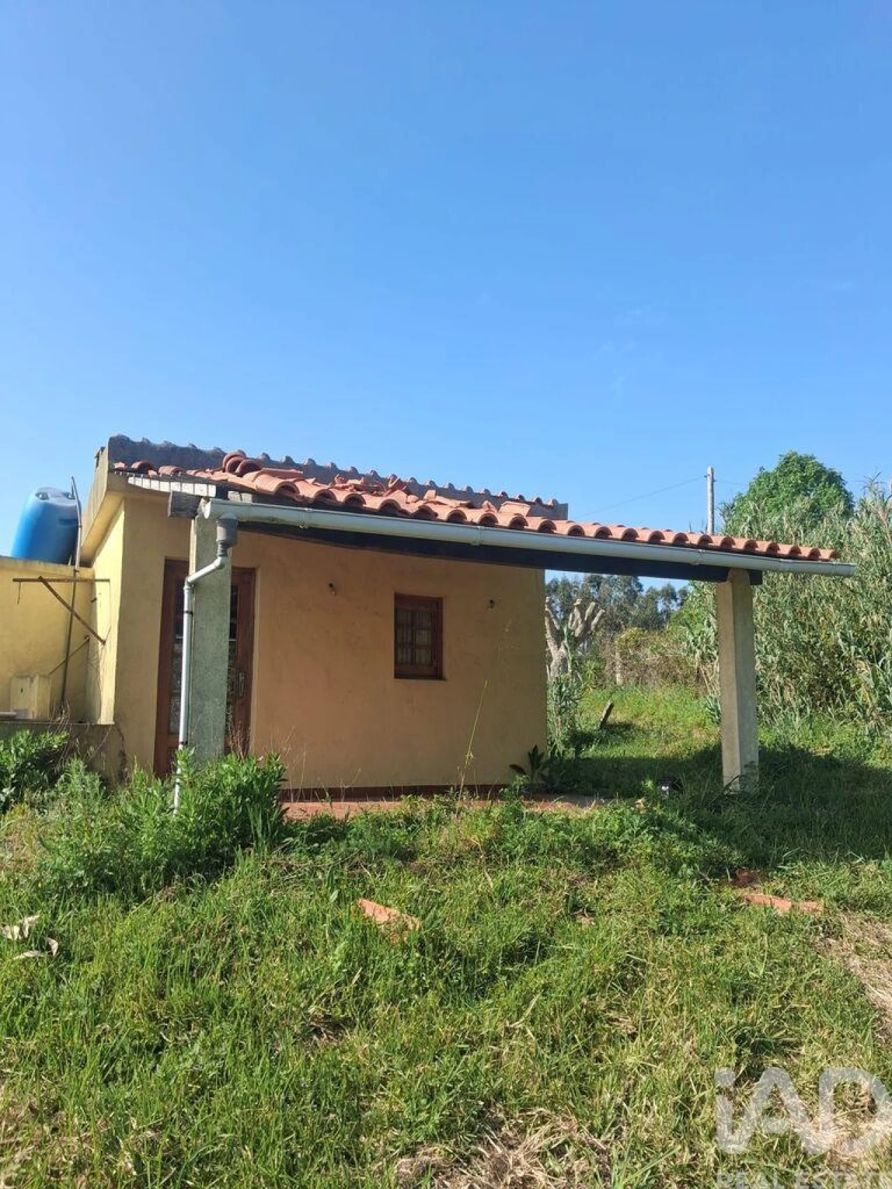 Terreno para Venda em Aljubarrota Foto 1