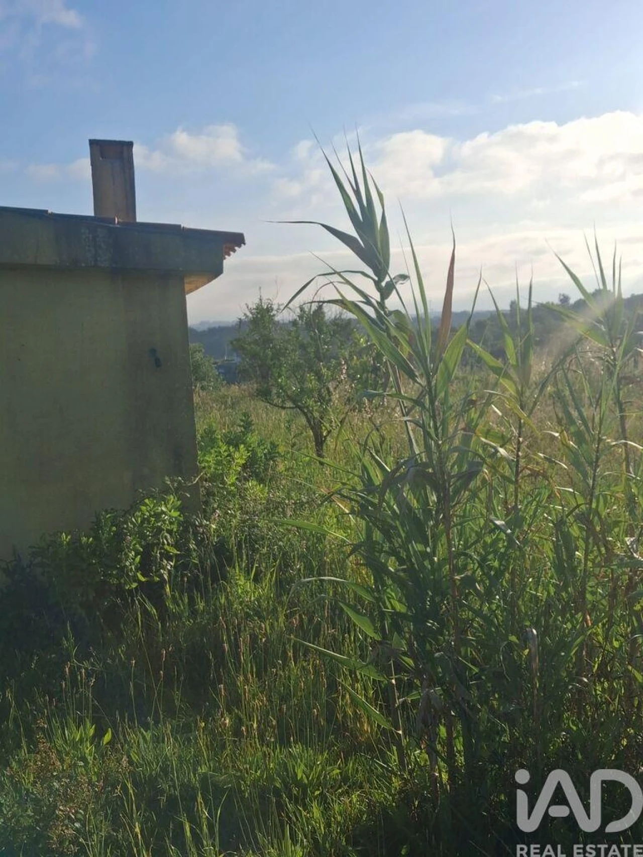 Terreno para Venda em Aljubarrota Foto 6