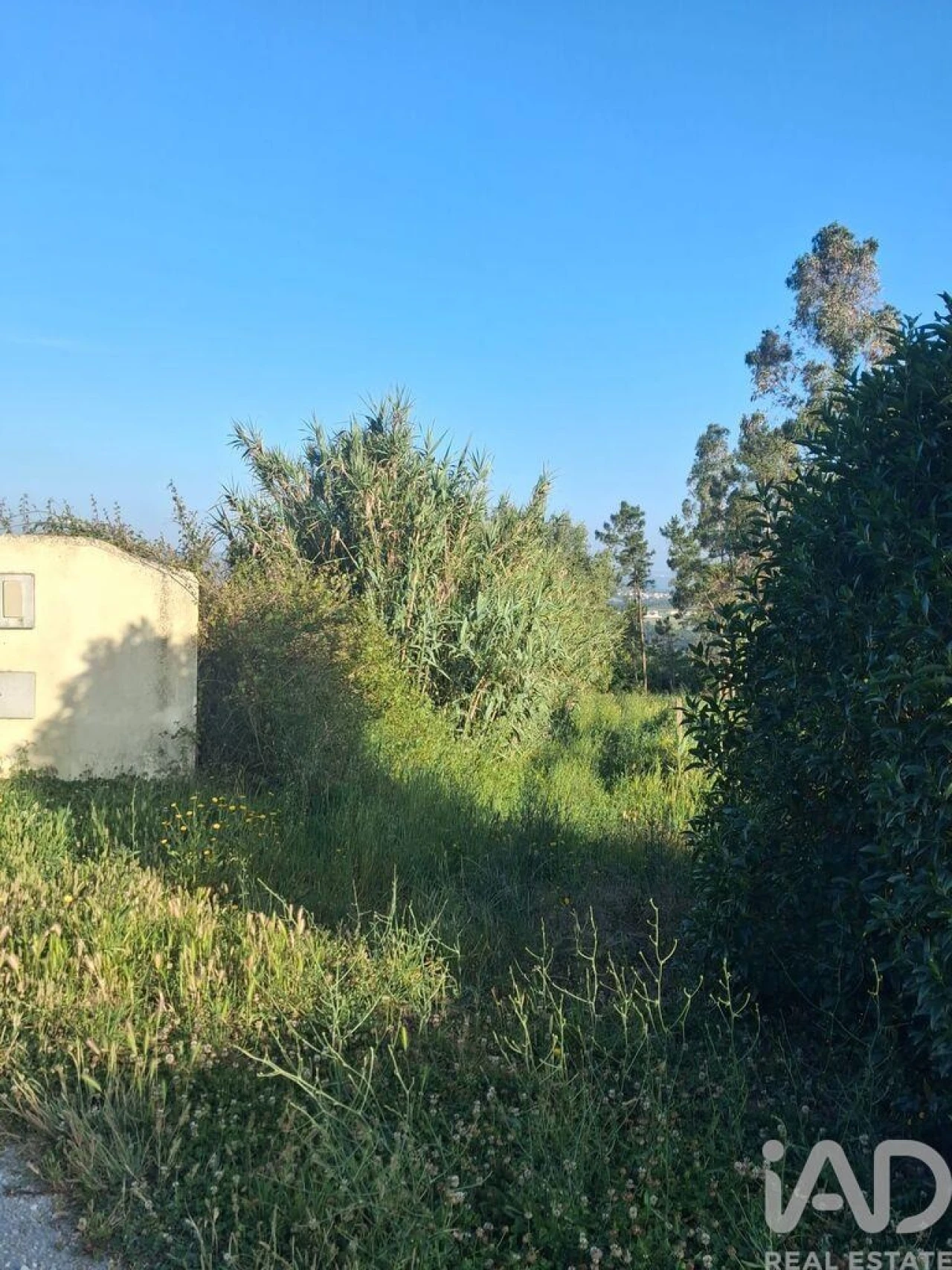 Terreno para Venda em Aljubarrota Foto 7