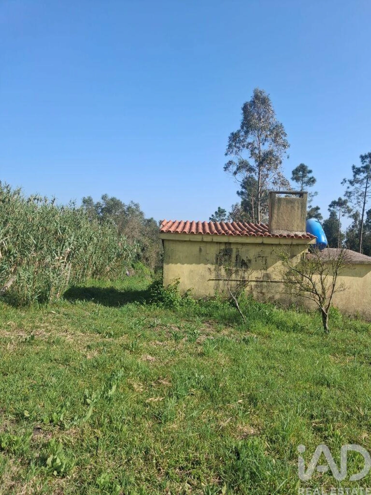 Terreno para Venda em Aljubarrota Foto 3