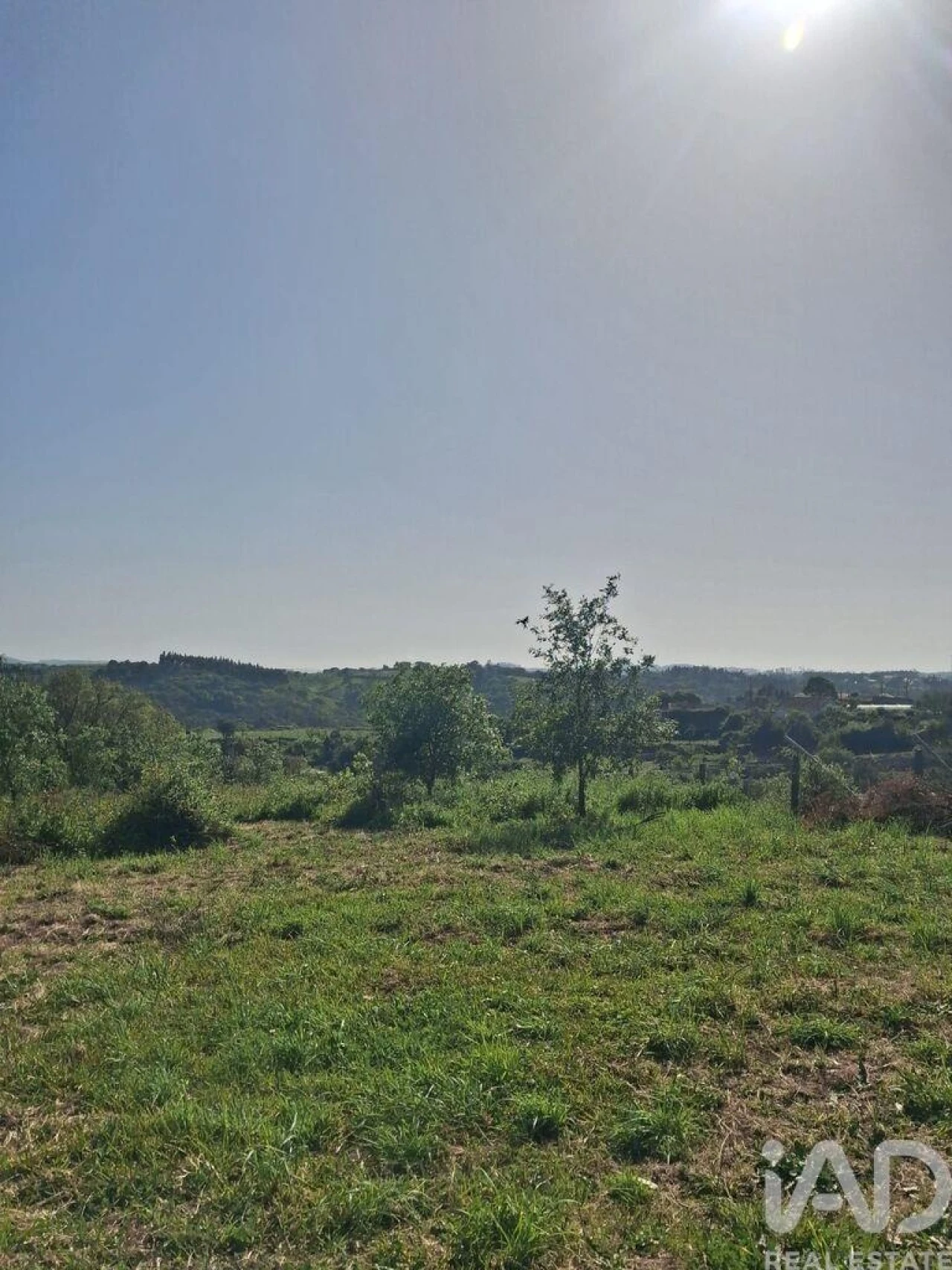 Terreno para Venda em Aljubarrota Foto 6