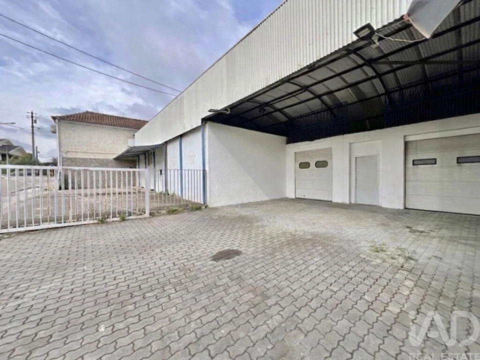 Loja para Venda em Campo de Besteiros Foto 4