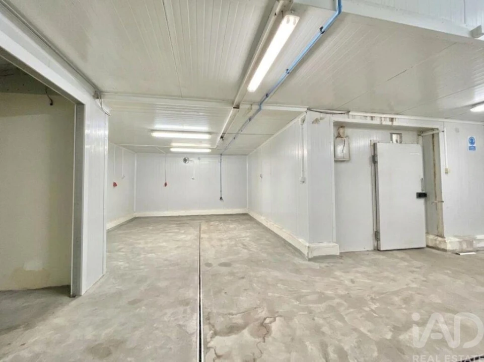 Loja para Venda em Campo de Besteiros Foto 9