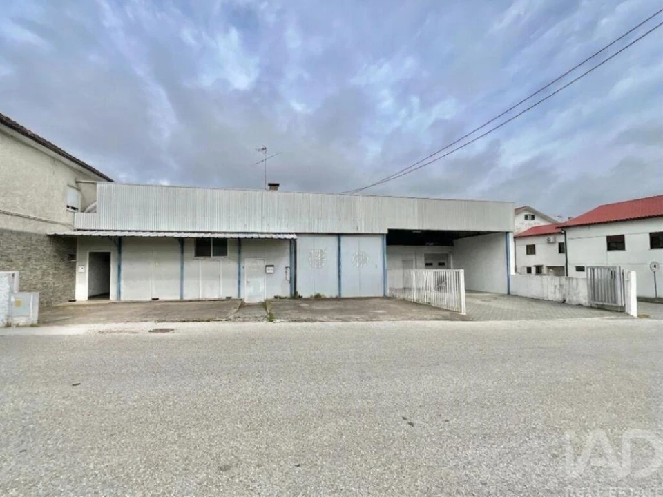 Loja para Venda em Campo de Besteiros Foto 3