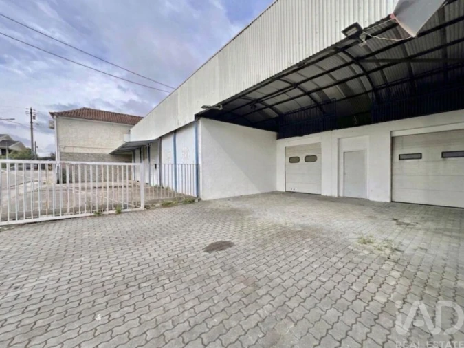 Loja para Venda em Campo de Besteiros Foto 4