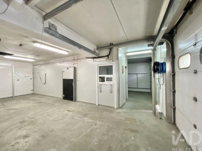 Loja para Venda em Campo de Besteiros Foto 10